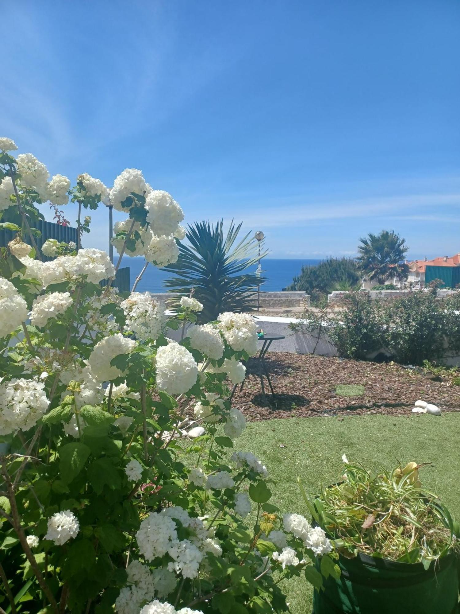 Ericeira Su Villa'S Exterior photo